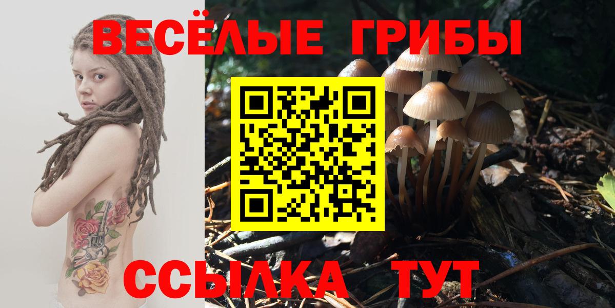 Псилоцибиновые грибы Psilocybe  Галлюциногенные грибы прущие грибы  Вход с VPN  Южноуральск 